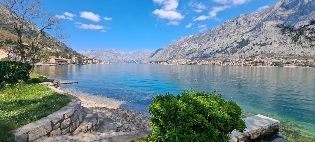 Apartment Vujosevic D&D Kotor Rum bild