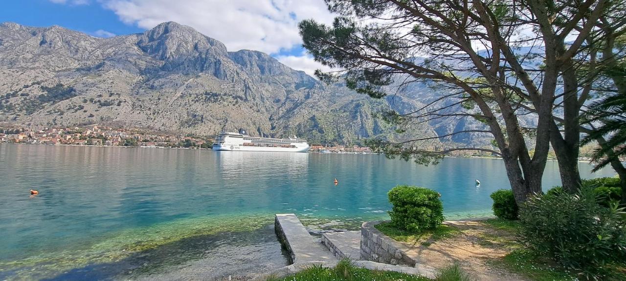 Apartment Vujosevic D&D Kotor Rum bild